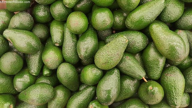 Allgemeine Informationen über Avocados